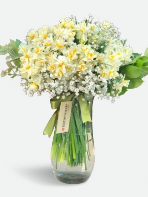 Kokulu Nergis Çiçeği