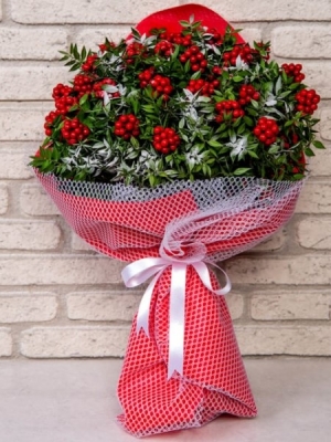 Kokina Yılbaşı Çiçeği Buket