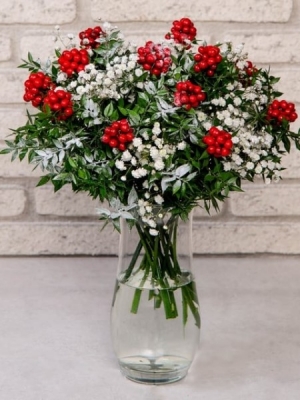 Kokina Yılbaşı Çiçeği Vazoda