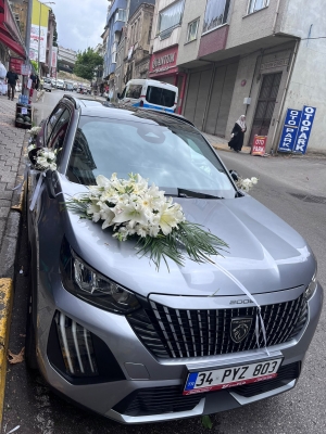 Gelin Arabası Kzablanka Gelbera Ve Phoenix Yaprağı İle Süsleme