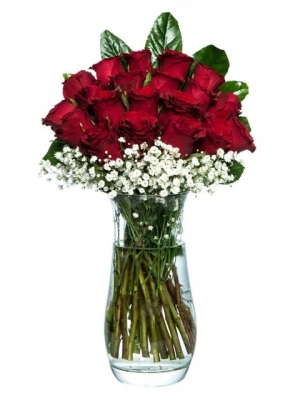 Vazoda 21 Kırmızı Gül