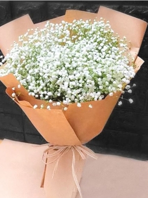 Beyaz Cipsofilya Buketi